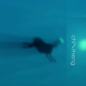 久久精品中文字幕
