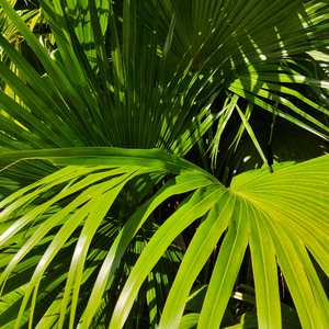 久久精品中文字幕
